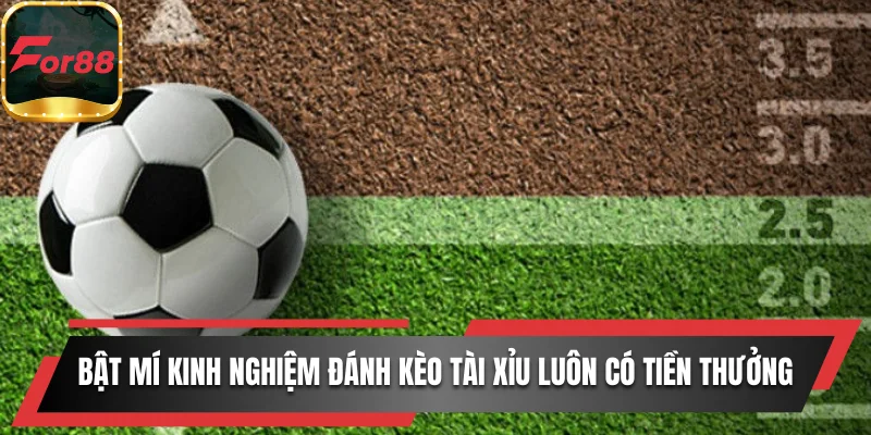 Bật mí kinh nghiệm đánh kèo tài xỉu luôn có tiền thưởng