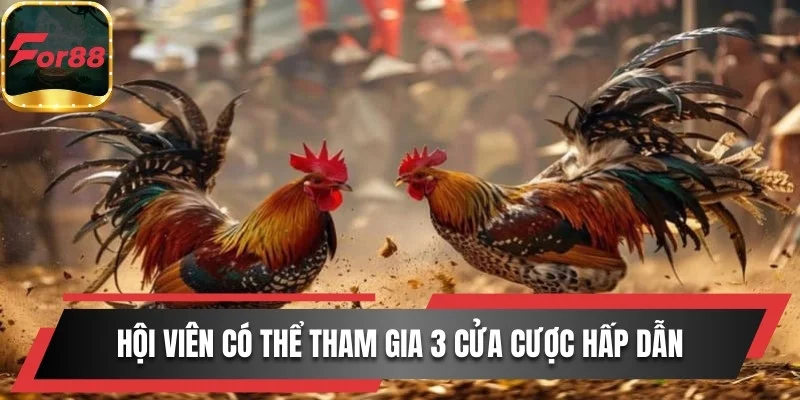 Hội viên có thể tham gia 3 cửa cược hấp dẫn