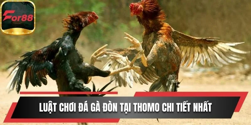 Chỉ vài bước đơn giản để xem và cược đá gà trực tiếp ngay hôm nay