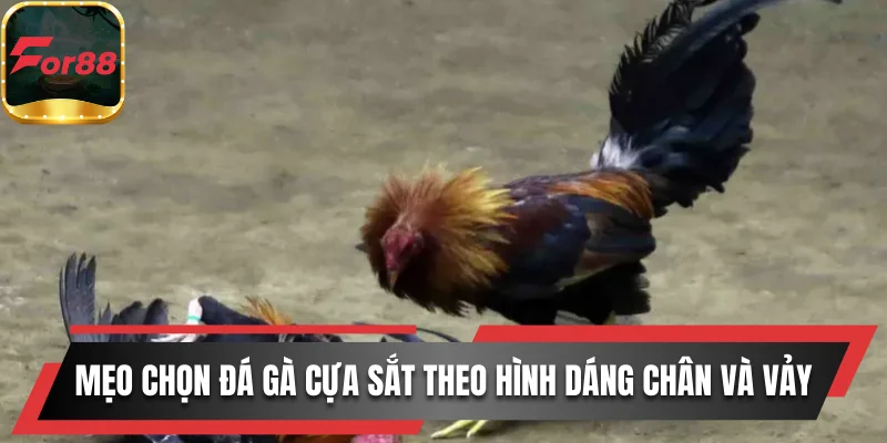 Công cụ soi kèo tại đá gà For88 chuẩn xác giúp người chơi đặt cược thông minh hơn