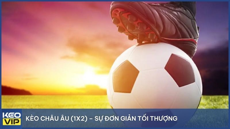 Kèo nhà cái Châu Âu dễ chơi nên luôn hấp dẫn người mới
