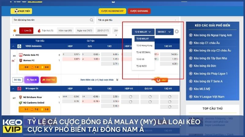 Tỷ lệ cá cược bóng đá Malay (MY) là loại kèo cực kỳ phổ biến tại Đông Nam Á